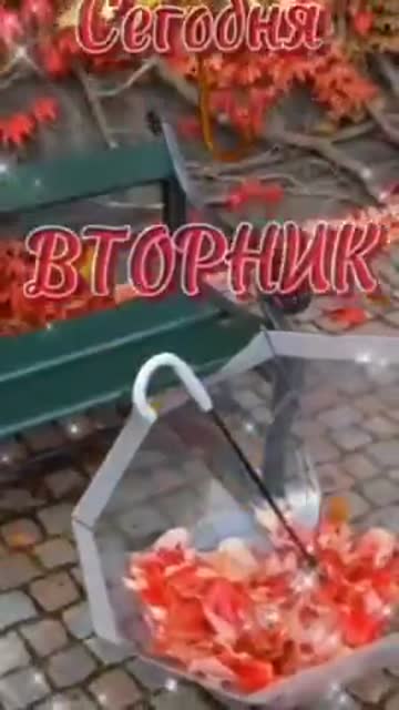 С Добрым Утром во Вторник