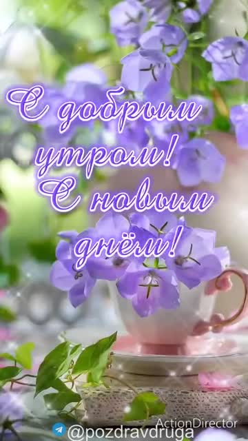 С Добрым Утром и с Новым Днём
