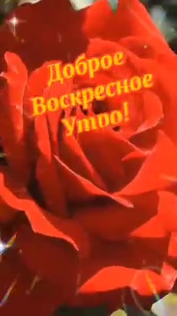 Пожелание в Воскресение Доброго Утра