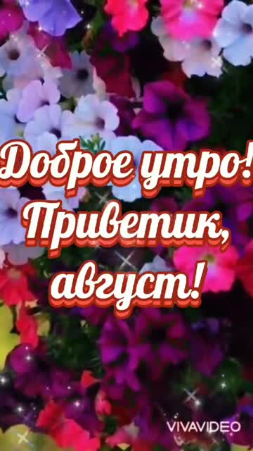 С добрым Утром в Августе