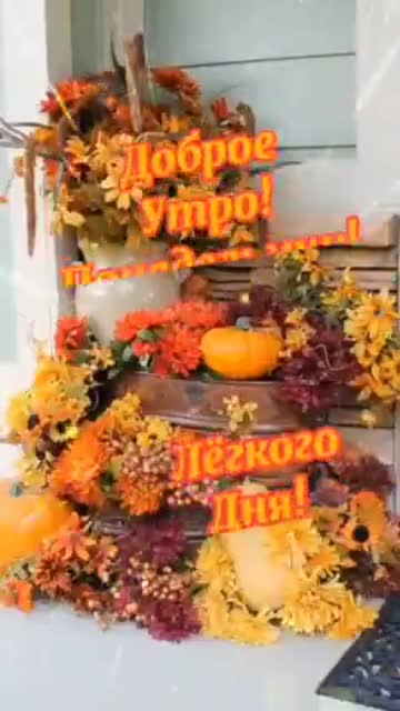 Утро Наполняет Сердце Гармонией