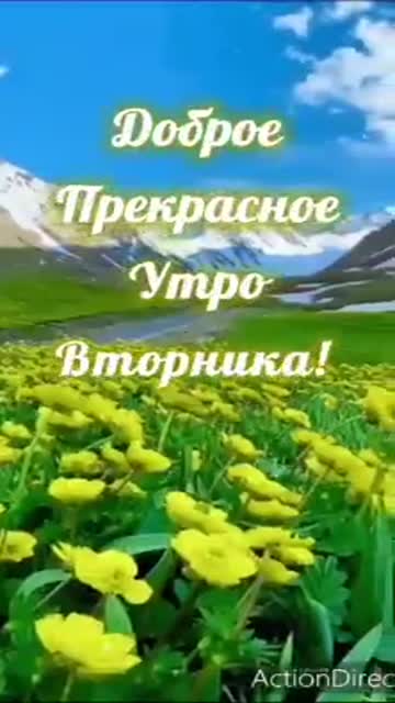 Вдохновляющее Утро Для Души