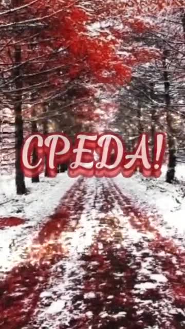 Свет Утра Наполняет Сердце