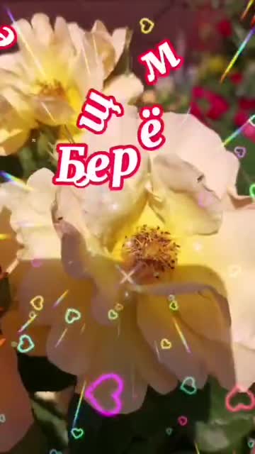 Доброе Вам Утро и Хорошего Дня