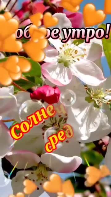 С Добрым Утром и Солнечной Среды