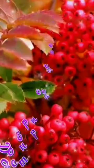 Доброго Осеннего Утра