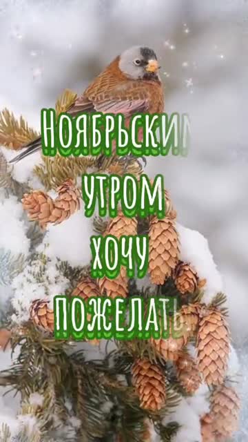 Утро Дарит Тепло И Счастье