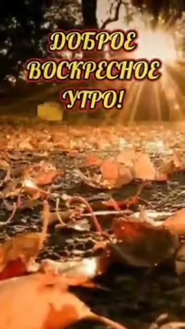 Утро Наполняет Сердце Светом