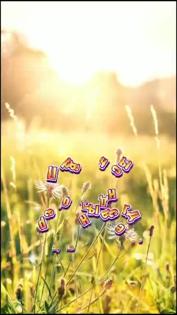 Свет Утра Несет Мир И Радость