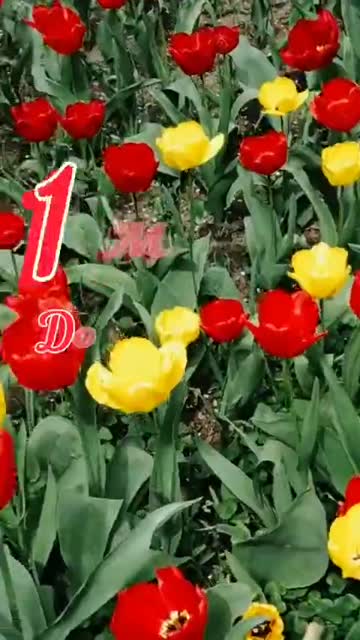 С Добрым Утром 1 Мая