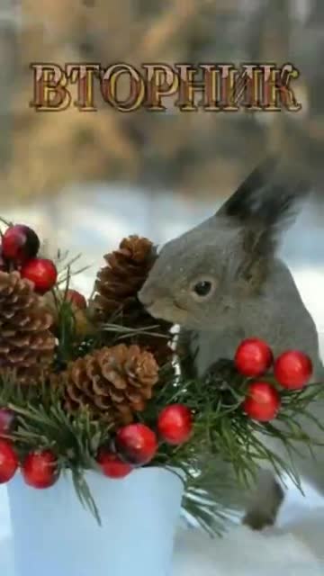 Утро Приносит Свет И Любовь