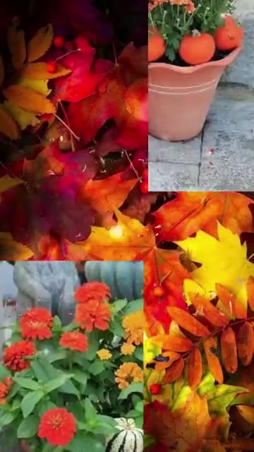 Утро Наполняет Сердце Светом