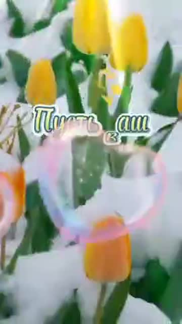 Утро Наполняет Сердце Миром