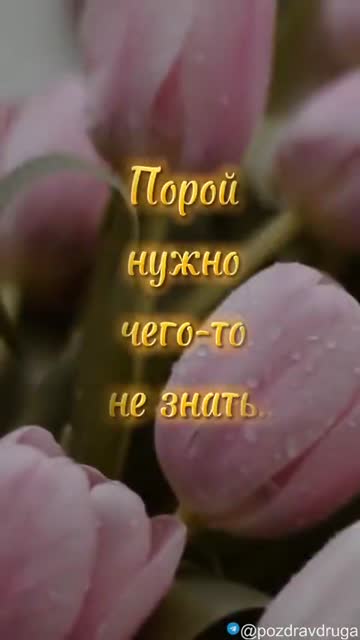 С Добрым Прекрасным Утром