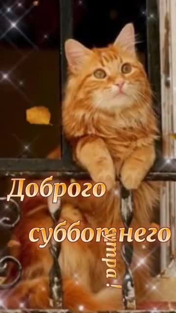 Утро Наполняет Сердце Вдохновением