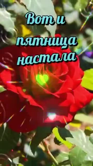 Утро Дарит Энергию И Счастье