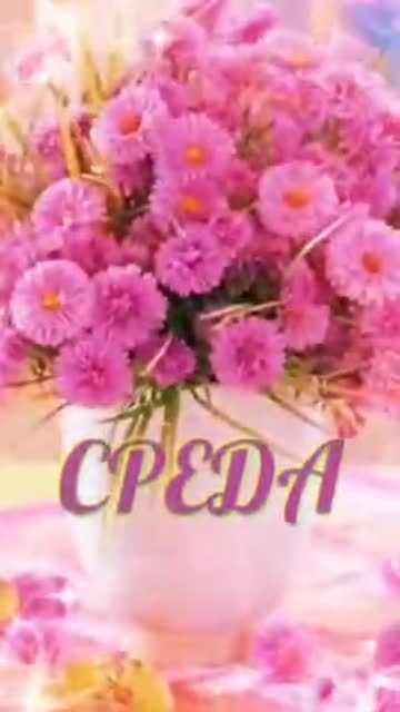 Утро Пробуждает Теплые Чувства