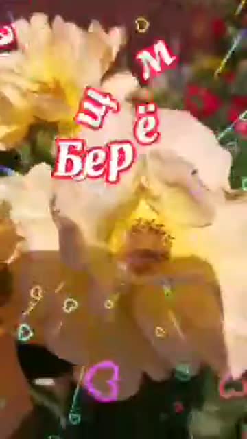 Доброе Утро И Новый День