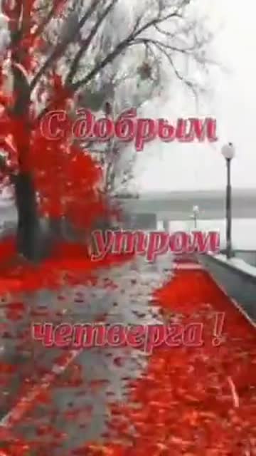 Утро Дарит Силу И Надежду