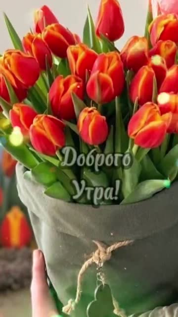 Доброго Утра и Весеннего Настроения