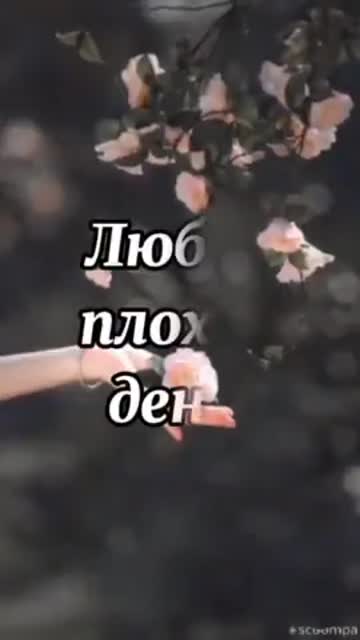 Утренний Рассвет Несет Свет И Радость