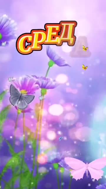 Утро Пробуждает Светлые Моменты