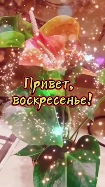 Утро Начинается С Любви