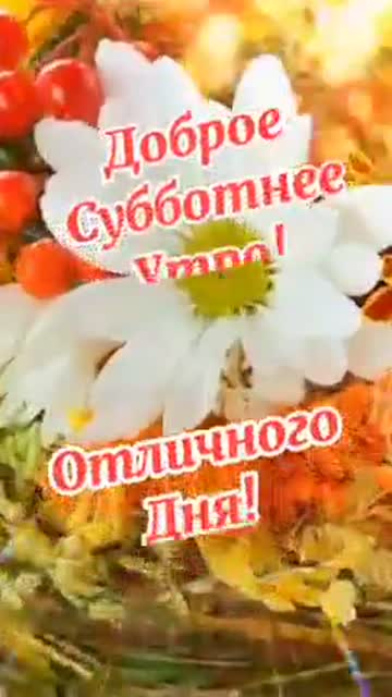 Утро Приносит Радость И Спокойствие