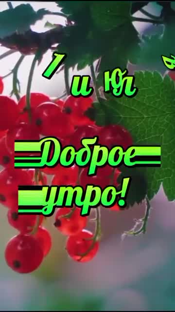 Утро Наполняет Сердце Светом И Гармонией