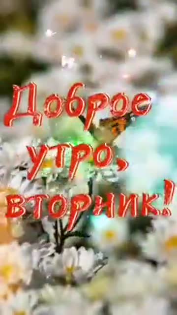 Пожелание Доброго Вторничного Утра