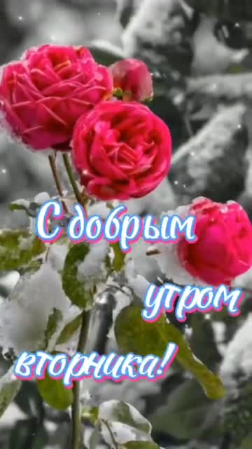 Утро Приносит Гармонию И Тепло