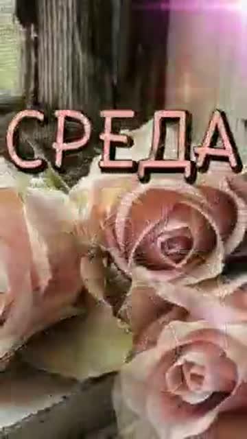 Утро Наполняет Сердце Светом И Любовью