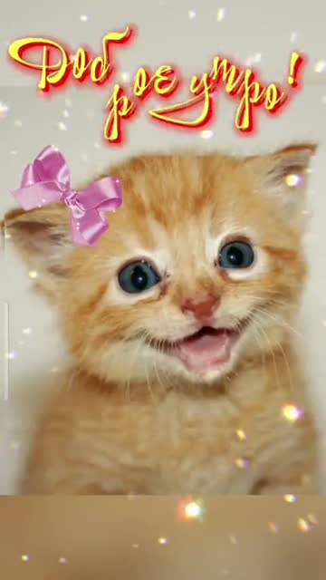 Утренний Рассвет Дарит Мир И Радость