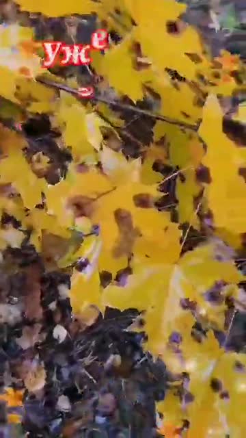 В Среду с Добрым Утром