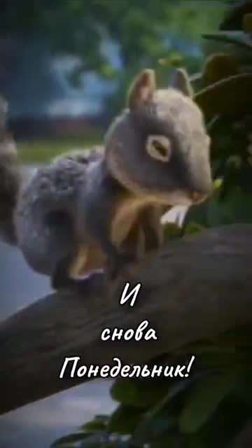 Доброе Утро И Новые Возможности