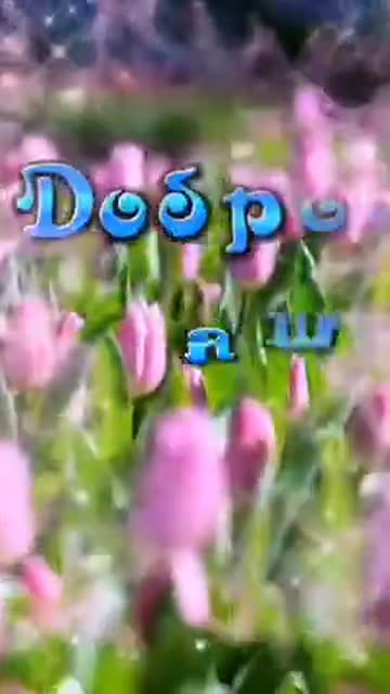 Утро Наполняет Сердце Светом И Миром