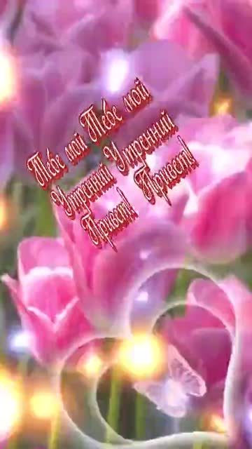 Утренний Ветер Несет Свет И Надежду