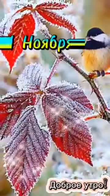 С Добрым Утром 1 Ноября