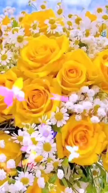 Свет Утра Наполняет Душу Миром