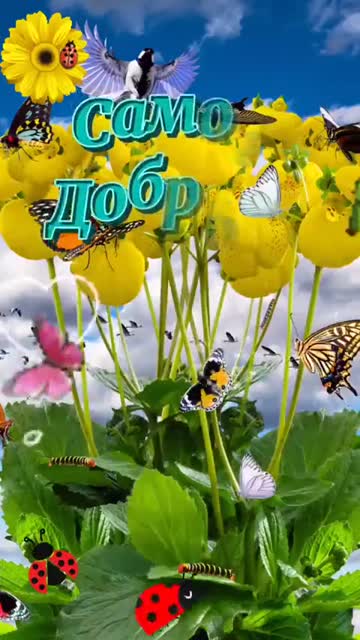 Утро Дарит Силу И Радость