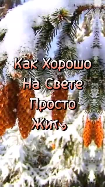 Утренний Рассвет Дарит Надежду И Свет