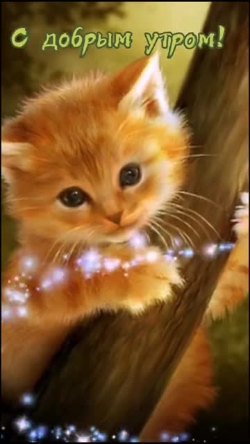 Утренний Вдох Новый День Дарит