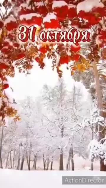 Утро Пробуждает Силу И Гармонию