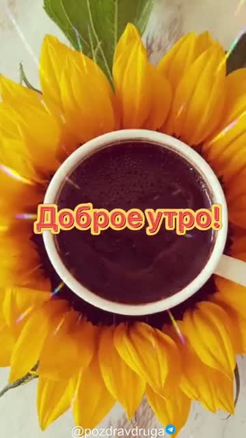 Утро Дарит Вдохновение И Счастье