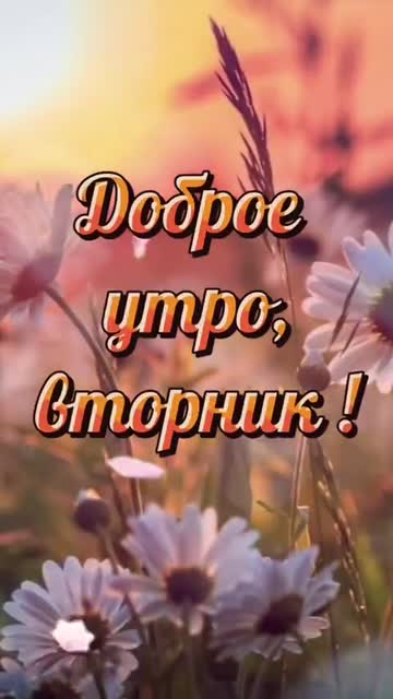 С Добрым Утром Вторника