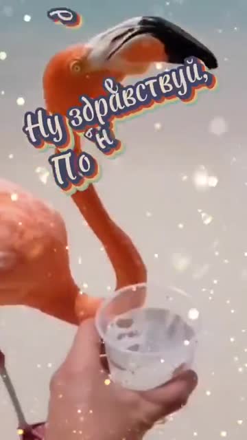 Утренний Ветер Несет Надежду