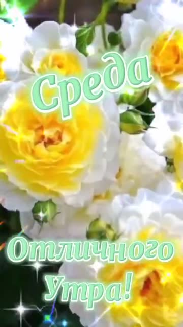 Утро Наполняет Душу Счастьем