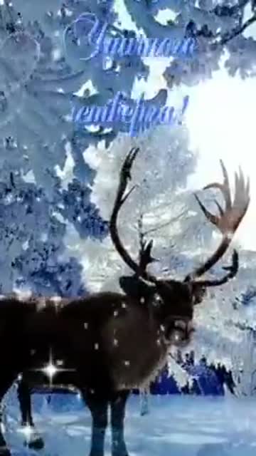 Свет Утра Приносит Гармонию