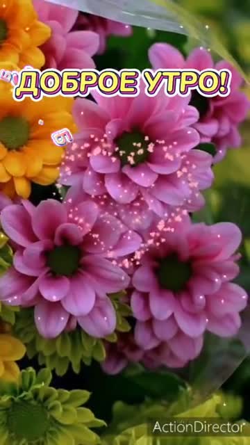 Утро Пробуждает Добрые Мысли