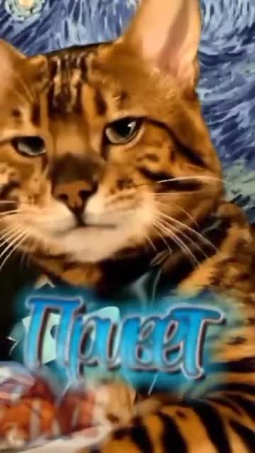 Утро Дарит Мир И Вдохновение